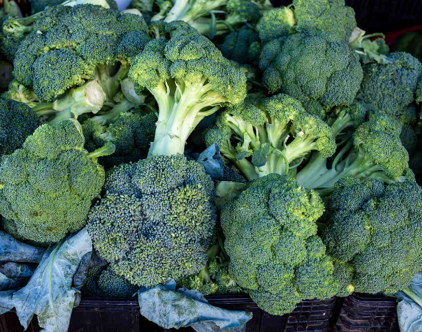 Broccoli