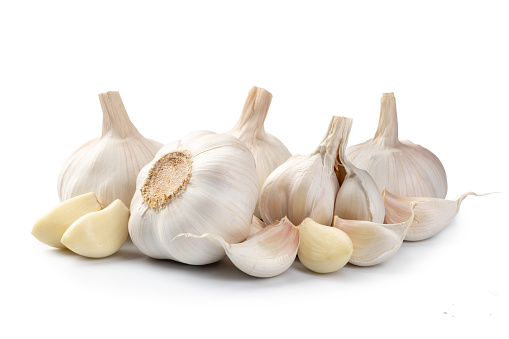 Fresh Garlic